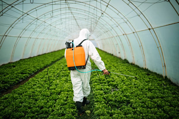 Best Affordable Pest Control Services  in Gilbertsville, PA
