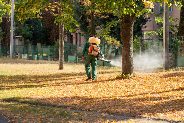 Reliable Gilbertsville, PA Pest Control Solutions