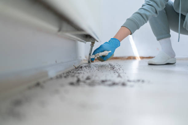 Pest Prevention Services in Gilbertsville, PA